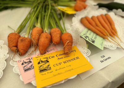 6 carrots in the horticulture section of the exhibition tent