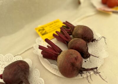 3 beetroots in the horticulture section of the exhibition tent