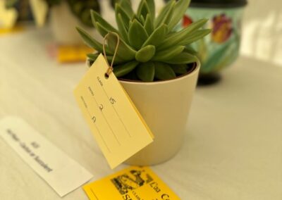 rubber plant in the floral section of the exhibition tent